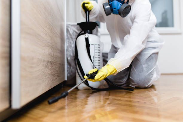 Best Affordable Exterminators  in Lansing, IL