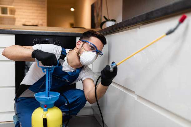 Wildlife Control Services in Lansing, IL