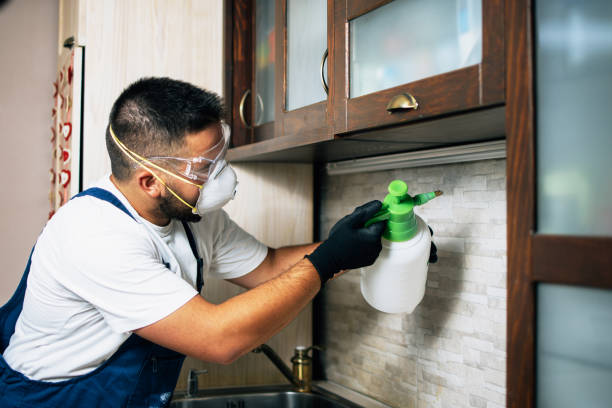 Best Exterminator Services  in Lansing, IL