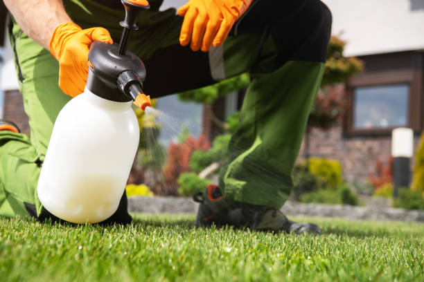 Best Rodent Control Near Me  in Lansing, IL