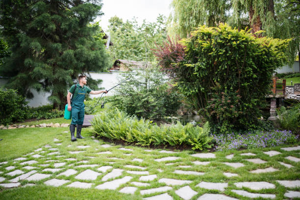Best Commercial Pest Control Services  in Lansing, IL