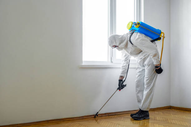 Best Best Pest Control Companies  in Lansing, IL