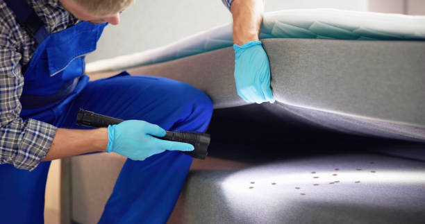 Best Affordable Pest Control Services  in Lansing, IL