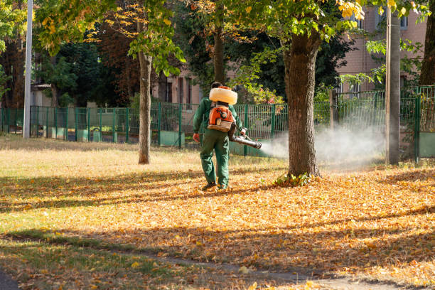 Best Wildlife Control Services  in Lansing, IL
