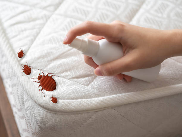 Best Pest Inspection Near Me  in Lansing, IL