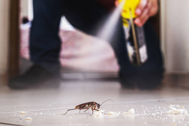Best Pest Removal Services  in Lansing, IL