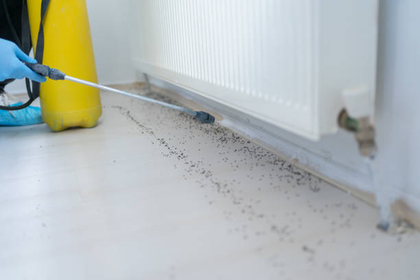 Trusted Lansing, IL Pest Control Experts