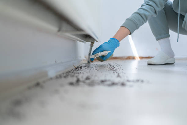 Best Ant Control Services  in Lansing, IL