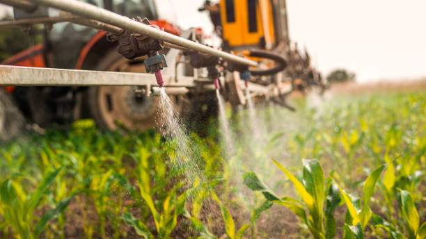 Best Local Pest Control Services  in Lansing, IL